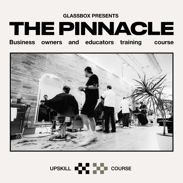 THE PINNACLE PROGRAM